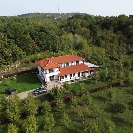 Pensiunea Emelys, Iasi Barnova Luaran gambar