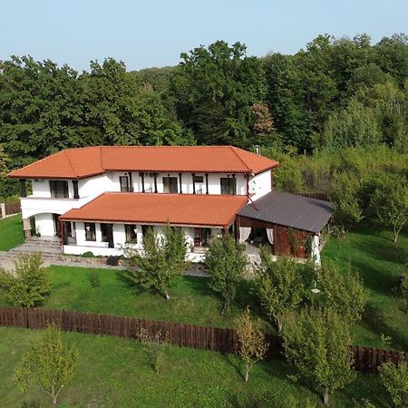 Pensiunea Emelys, Iasi Barnova Luaran gambar
