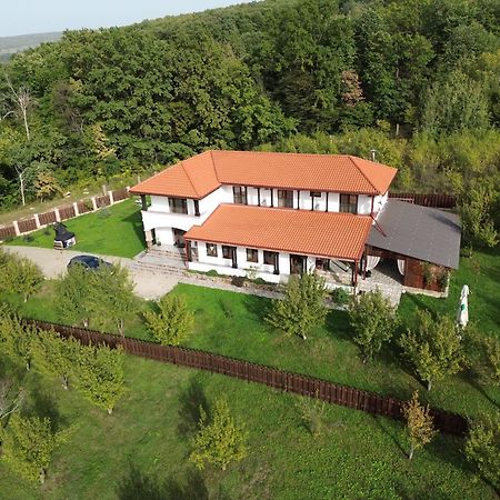 Pensiunea Emelys, Iasi Barnova Luaran gambar