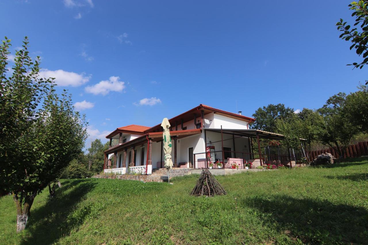 Pensiunea Emelys, Iasi Barnova Luaran gambar