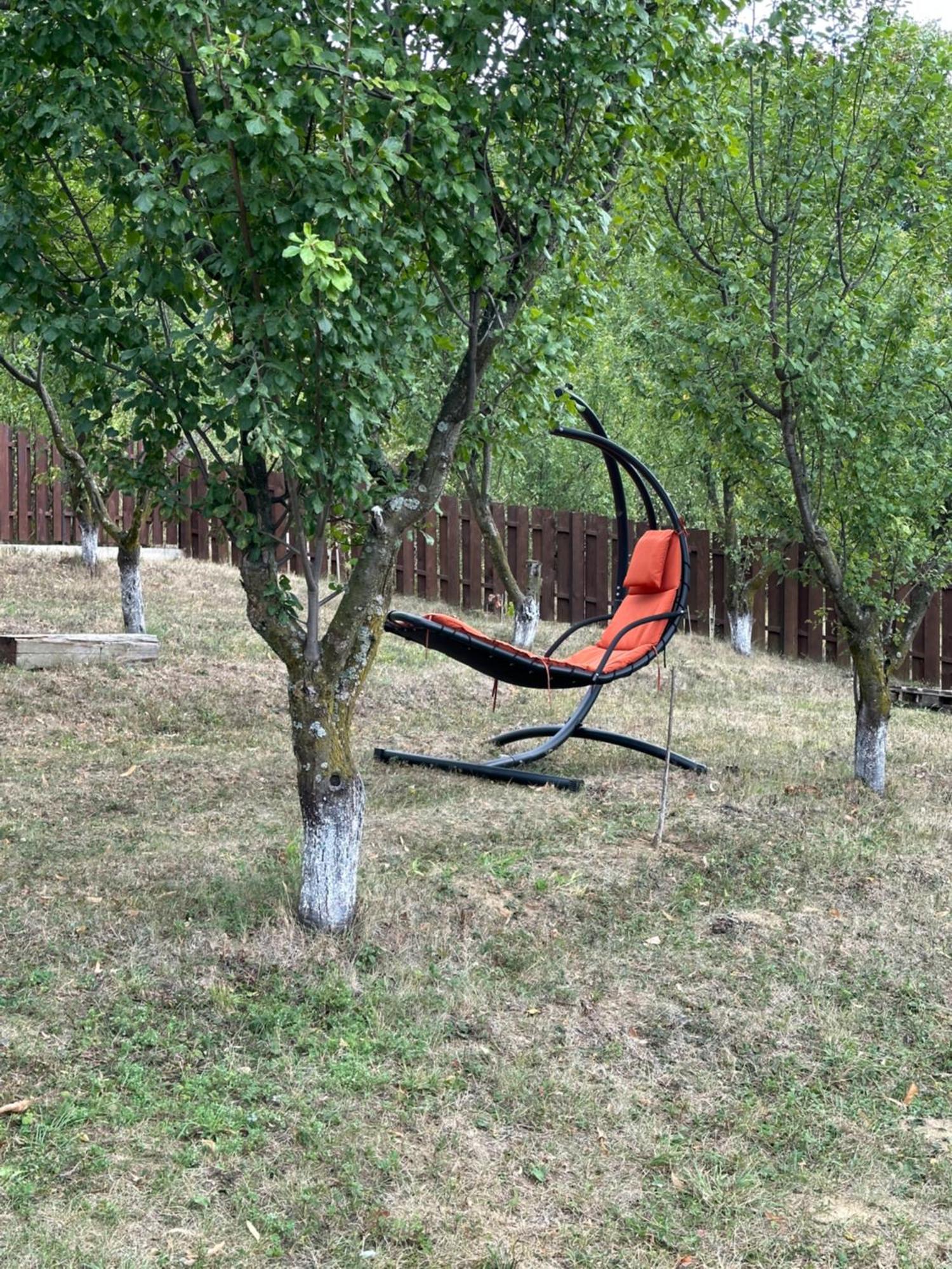 Pensiunea Emelys, Iasi Barnova Luaran gambar