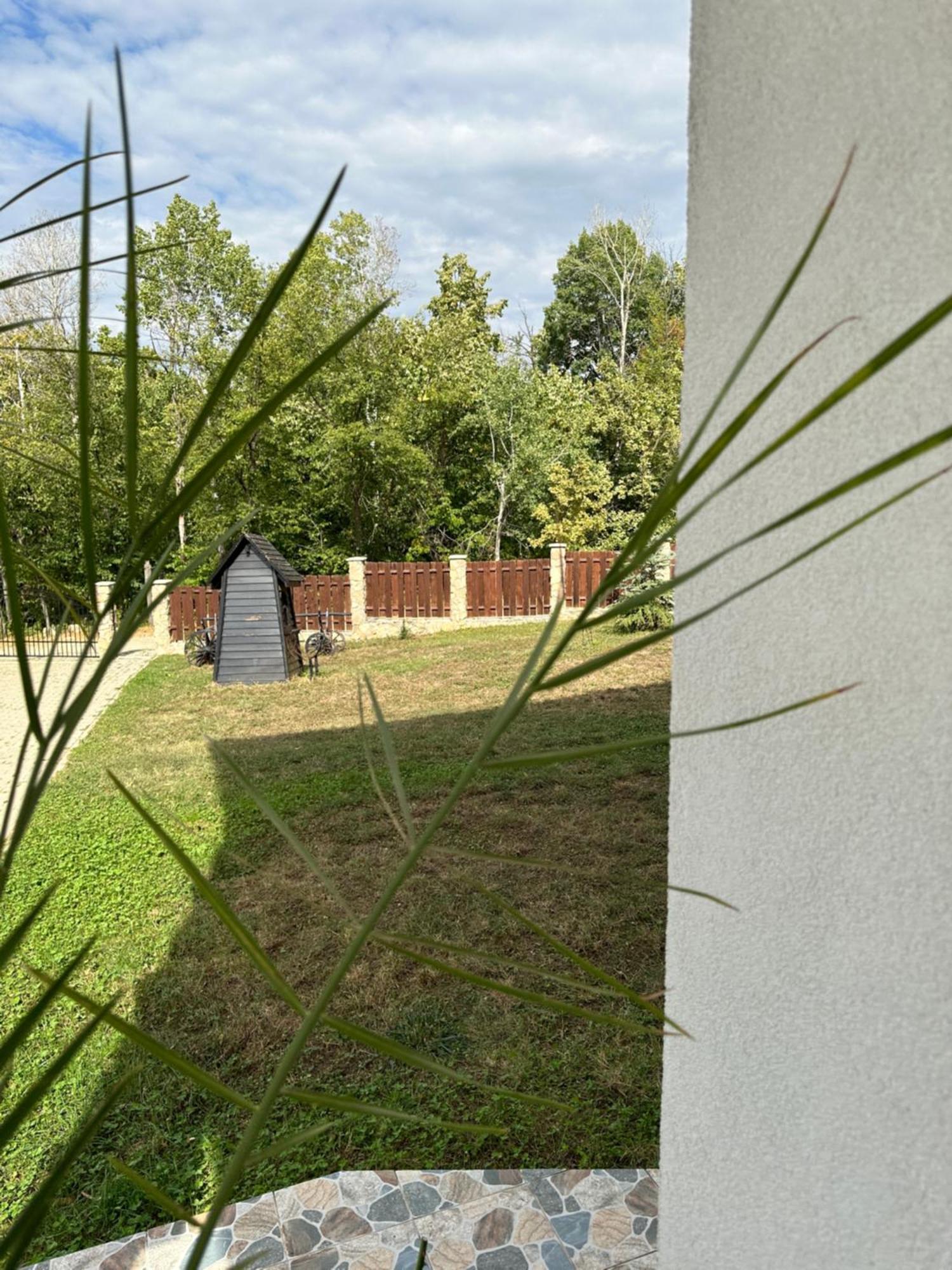 Pensiunea Emelys, Iasi Barnova Luaran gambar