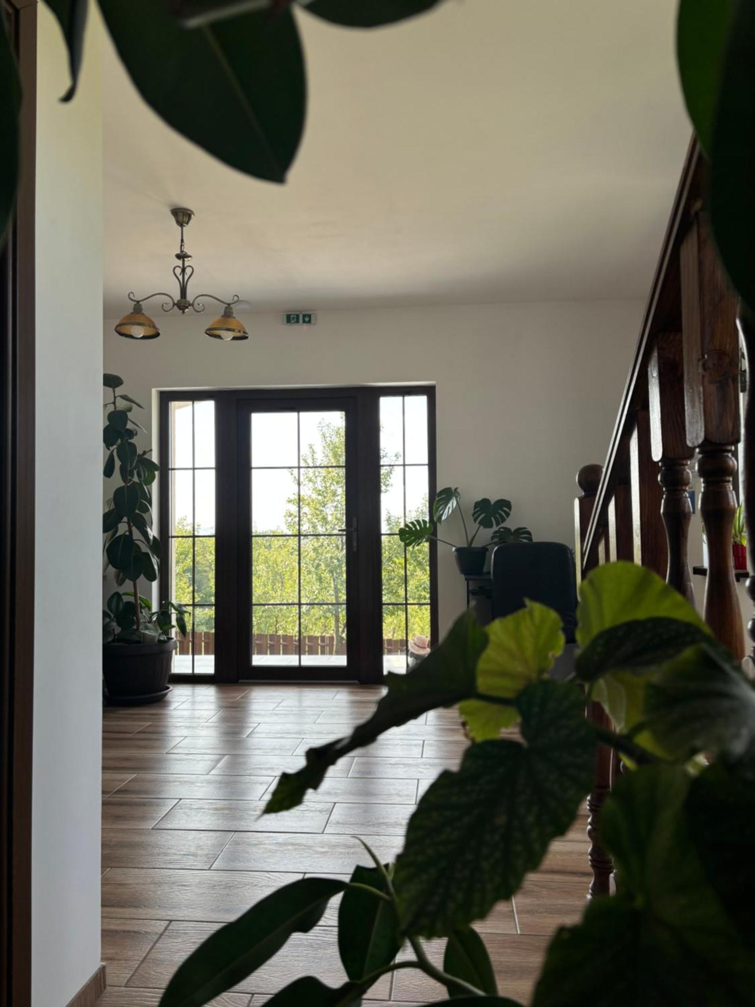 Pensiunea Emelys, Iasi Barnova Luaran gambar