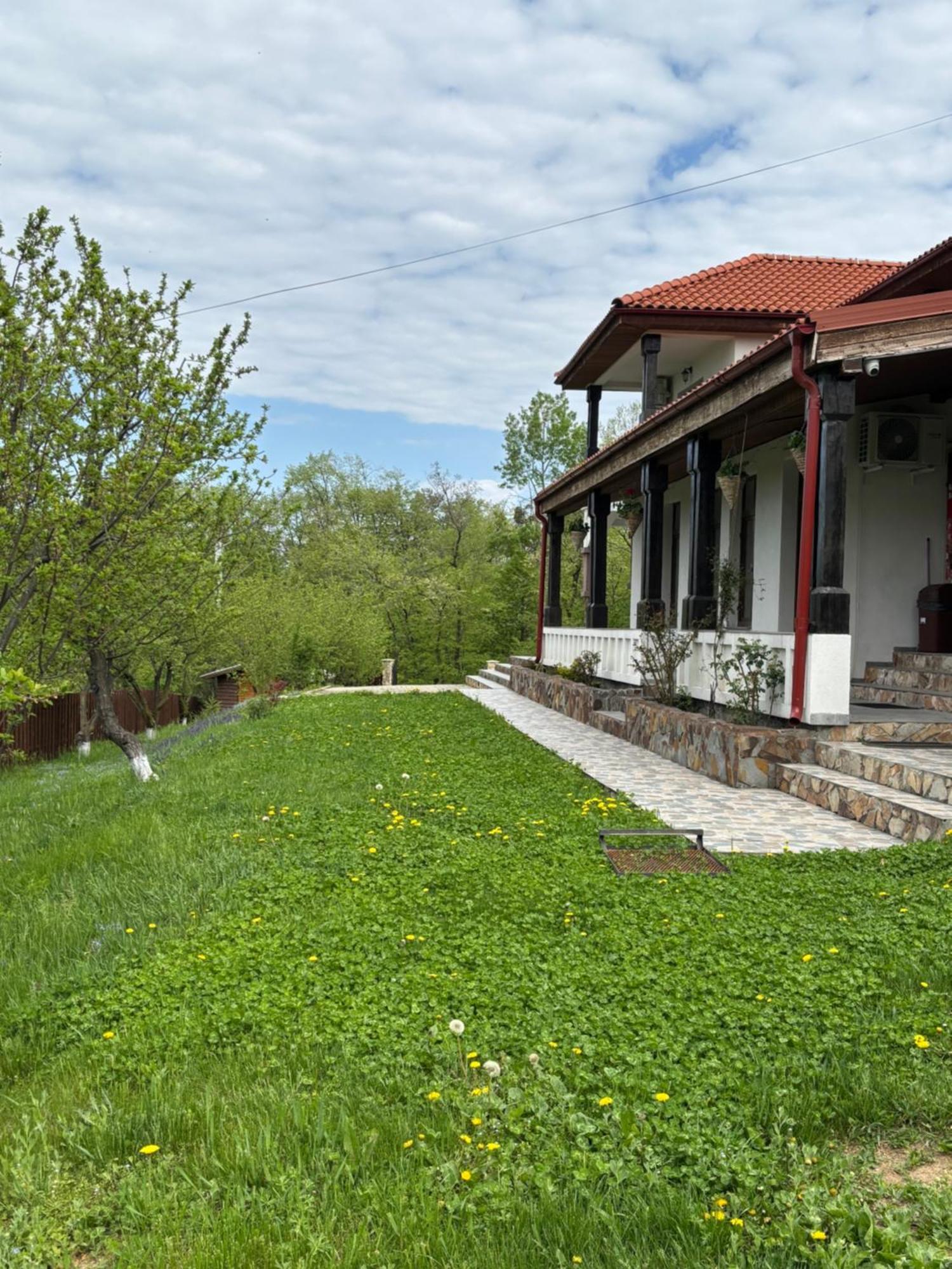 Pensiunea Emelys, Iasi Barnova Luaran gambar
