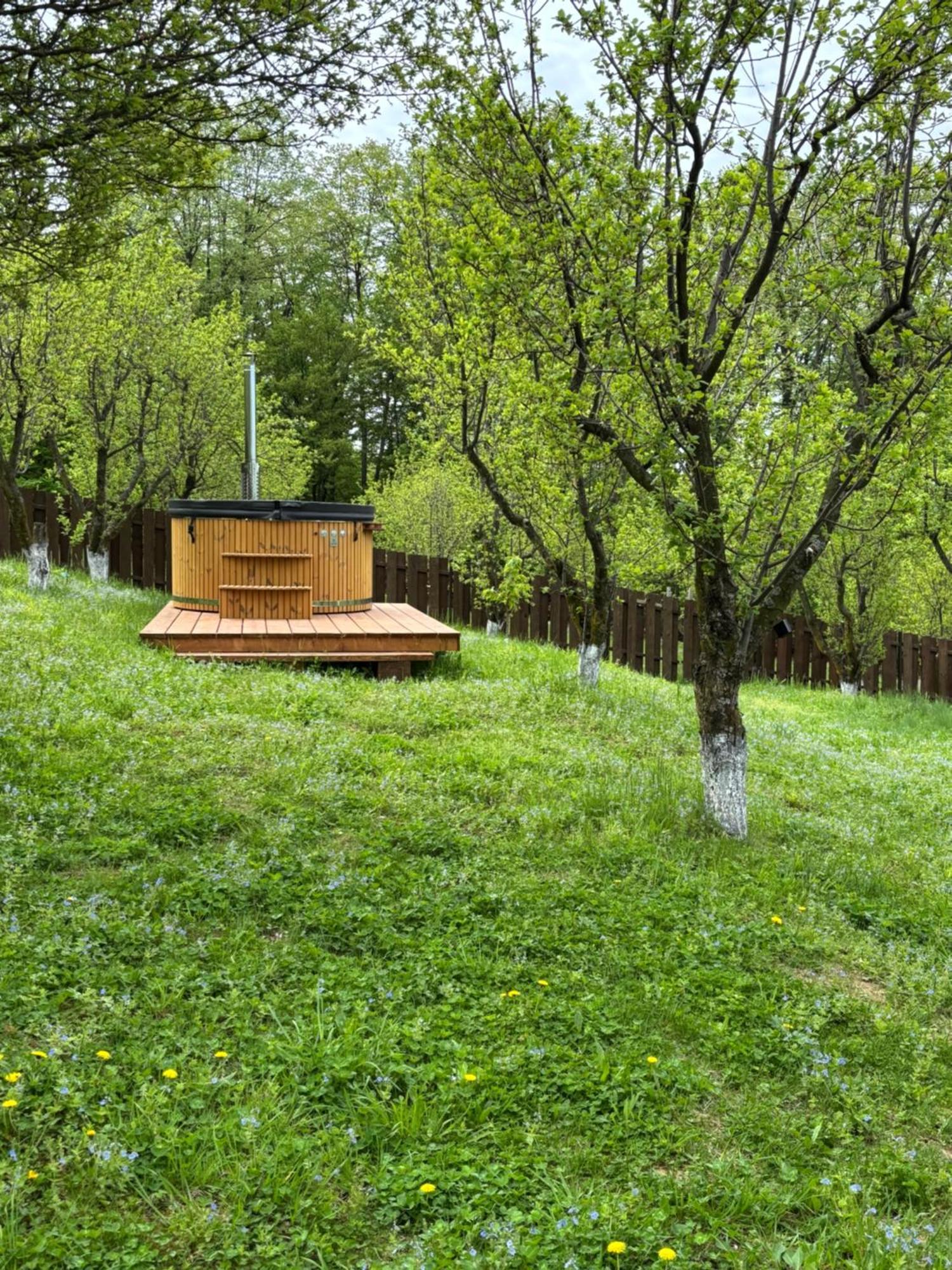 Pensiunea Emelys, Iasi Barnova Luaran gambar